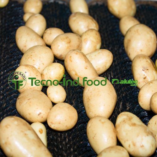 Линия по переработке картофеля - Alutec Food CAMPESATO® - для мойки / для сортировки