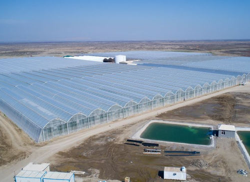 Полиэтилен в пластинах - Gakon Horticultural Projects BV