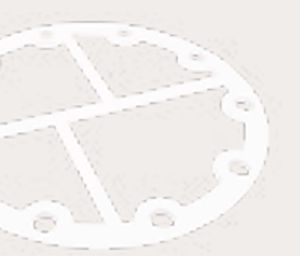 Прокладочный лист из ПТФЭ - Virgen - Epidor Seals & Rubber Technology - для напитков
