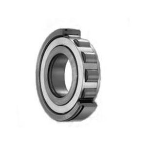 Роликовый подшипник - Yuyao Bote Bearing Co., Ltd. - игольчатый / радиальный / однорядный