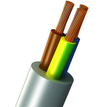 Электрический кабель питания - Shanghai Bluewin Wire & Cable Co., Ltd. - изолированный / из меди / для внутреннего и внешнего пользования
