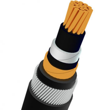 Электрический кабель питания - Shanghai Bluewin Wire & Cable Co., Ltd. - изолированный / бронированный / многопроволочный