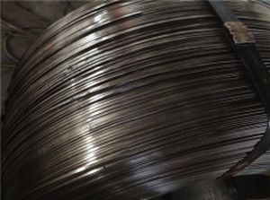 Пружина c проволокой - Nanjing Hengjie Industrial Co., Ltd. - из стали / для механических компонентов