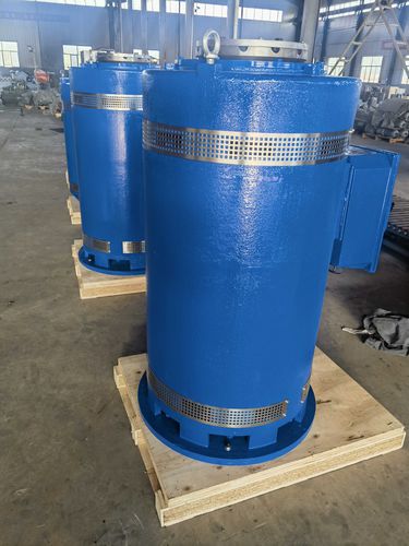 Вертикальный двигатель - HJZ 315 LB-4 T1V0 - Shanghai Electric Heavy Machinery Co., Ltd. - индукционный / трехфазовый / 400 В
