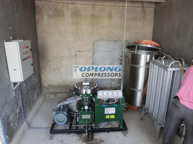 Компрессор с диафрагмой - GL1-10/4-160 - Wenling Toplong Electrical & Mechanical Company - для азота / с электродвигателем / стационарный