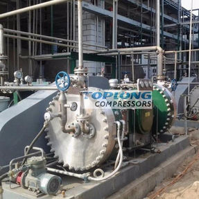 Компрессор с диафрагмой - GZ2-5/150-700 - Wenling Toplong Electrical & Mechanical Company - для водорода / с электродвигателем / стационарный