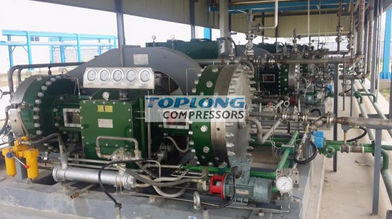 Компрессор с диафрагмой - GD5-2100/7-230 - Wenling Toplong Electrical & Mechanical Company - для газа / с электродвигателем / стационарный