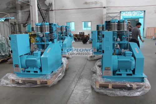 Компрессор переменная производительность - GOW-20/4-150  - Wenling Toplong Electrical & Mechanical Company - для кислорода / с электродвигателем / стационарный