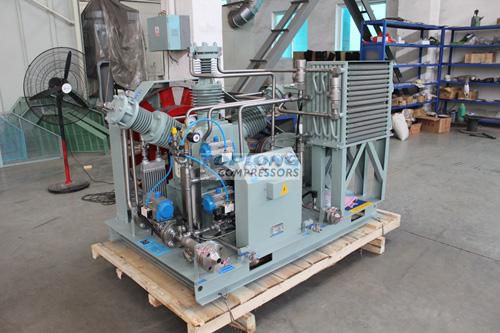 Компрессор с диафрагмой - CW-10/20 - Wenling Toplong Electrical & Mechanical Company - для газа / с электродвигателем / стационарный