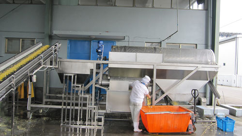Машина для мойки кукурузы - YXJ - SHAOXING WALLEY FOOD MACHINERY CO., LTD. - для зеленого горошка