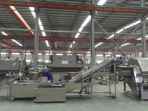 Ленточная машина для мойки пищевых продуктов - QXJ-D - SHAOXING WALLEY FOOD MACHINERY CO., LTD. - для грибов / для огурцов / для фруктов