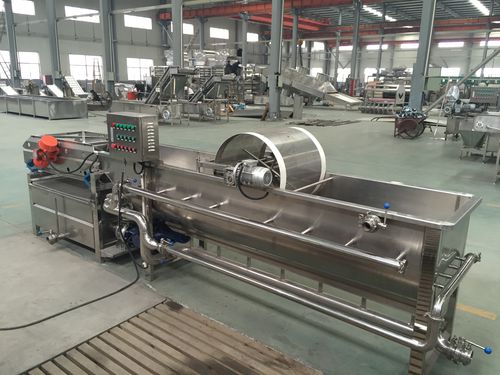Машина для мойки грибов - WXJ - SHAOXING WALLEY FOOD MACHINERY CO., LTD. - для клубники
