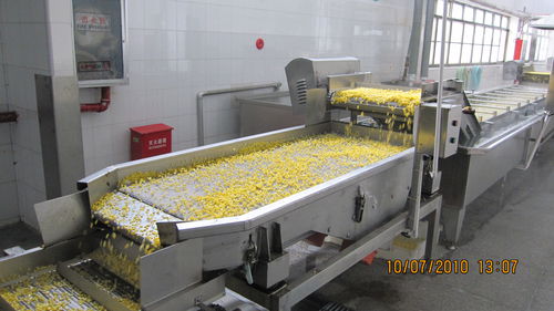 Вибрационная центрифуга - ZTS - SHAOXING WALLEY FOOD MACHINERY CO., LTD. - для овощей / с ленточным конвейером
