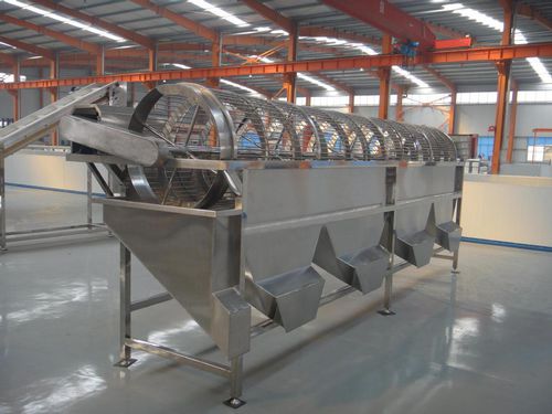 Калибратор для грибов - OSJ-5 - SHAOXING WALLEY FOOD MACHINERY CO., LTD. - для личи / для лонгана / для таро