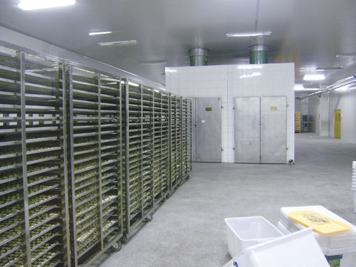 Туннельная сушилка для пищевой промышленности - HGS series - SHAOXING WALLEY FOOD MACHINERY CO., LTD.