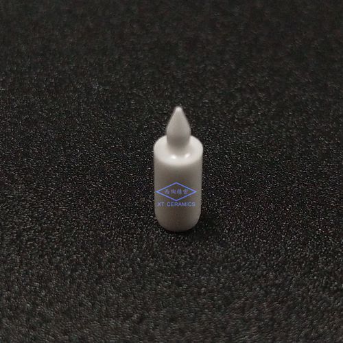 Полный штырь - Dongguan Xitao Precision Ceramics Co., Ltd. - точный / с центрированием