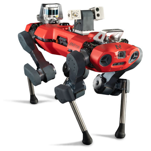 Четвероногий инспекционный робот - ANYmal C - ANYbotics - герметичный / IP67