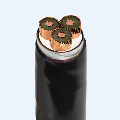 Электрический кабель питания - CXV/SEhh/DSTA - Thinh Phat Cables Joint Stock Company - изолированный / бронированный / с медным экраном