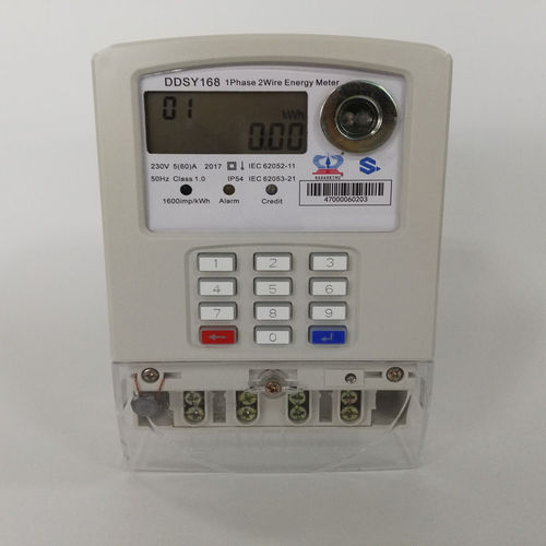 Монофазовый Электрический счетчик электроэнергии - DDSY150 - Wuhan Radarking Electronics Corp - для установки на панель / 50 Гц / 60 Гц