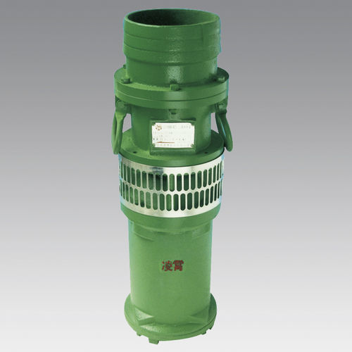 Насос с ротором - QY series - Guangdong LingXiao Pump Industry Co., Ltd. - для воды / электрический / погружной