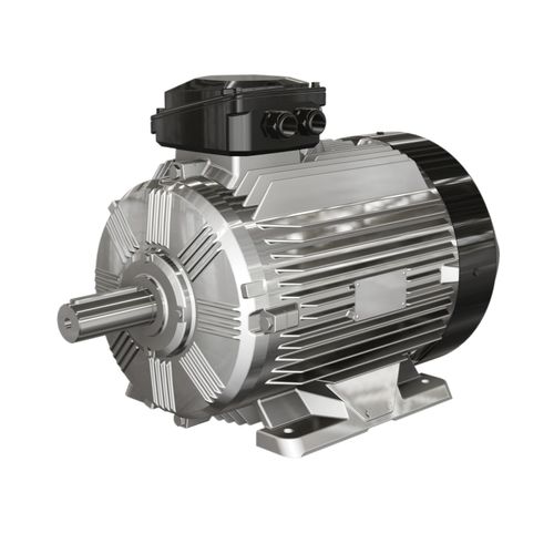 Асинхронный двигатель - WE3 series - Wolong Electric Group - трехфазовый / IP55 / IP65