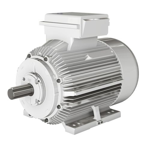 Асинхронный двигатель - BD series - Wolong Electric Group - монофазовый / с чугунной рамой / IP55
