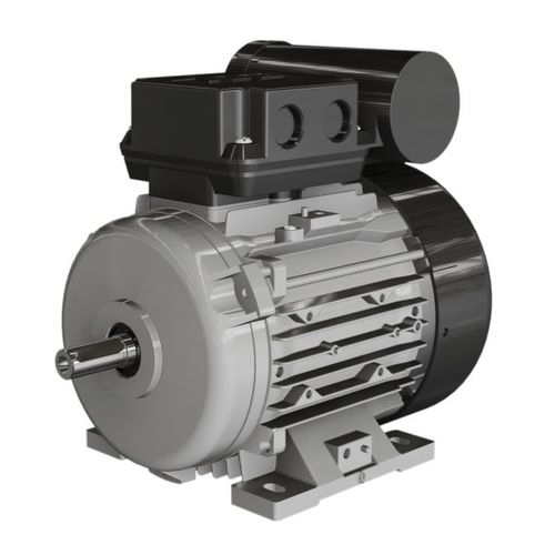 Асинхронный двигатель - A, L, N series  - Wolong Electric Group - монофазовый / с короткозамкнутым якорем / с алюминиевым каркасом