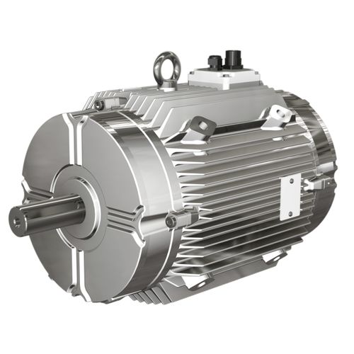 Двигатель управляемый преобразователем частоты - W FUMEX® series  - Wolong Electric Group - асинхронный / трехфазовый / с чугунной рамой