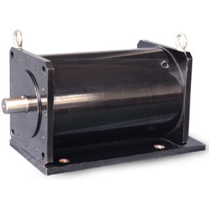 Индукционный двигатель - WTGSDJ series - Jiang Su Weiteli Motor Co.,Ltd - с охлаждением водой / для электрических транспортных средств / RS-485
