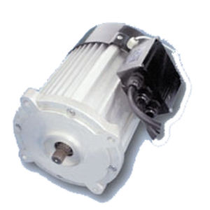 Двигатель низкая скорость - WTGSDJ1 - Jiang Su Weiteli Motor Co.,Ltd - синхронный / с постоянными магнитами / для электрических транспортных средств