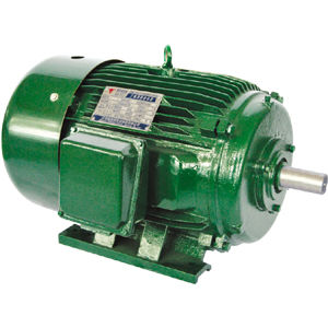 Двигатель NEMA - Jiang Su Weiteli Motor Co.,Ltd - асинхронный / управляемый преобразователем частоты