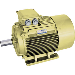 Двигатель с высокой пропускной способностью - YE series - Jiang Su Weiteli Motor Co.,Ltd - синхронный / 380 В / IP54