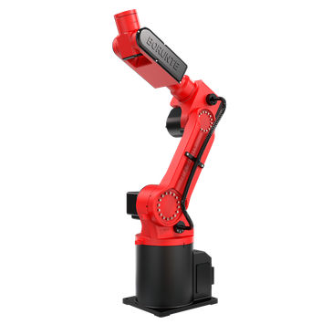 Borunte store robot price