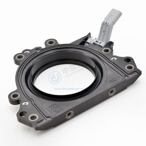 Кромочный уплотнитель - ANHUI ZHONGDING SEALING PARTS CO.,LTD - из пластика / из ПТФЭ / круговой
