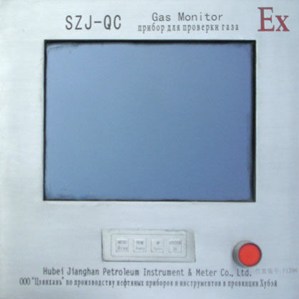 Монитор LCD -  SQC - Hubei Jianghan Petroleum Instrument & Meter Co., Ltd. - для процесса / для заправочной станции / герметичный