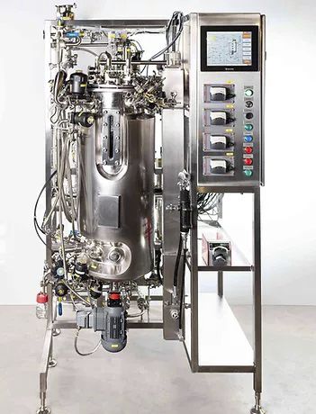 Биореактор / ферментер для лабораторий - RF series - Biotehniskais centrs - пилотный / из нержавеющей стали