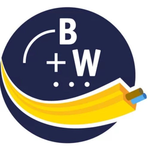 Программное обеспечение для измерений - BW2916 - Bihl+Wiedemann GmbH - для управления / конфигурация / разработки