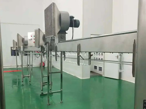 Воздушный конвейер - Jiangsu SinoPAK Machinery Co., Ltd. - горизонтальный / транспортный / стационарный