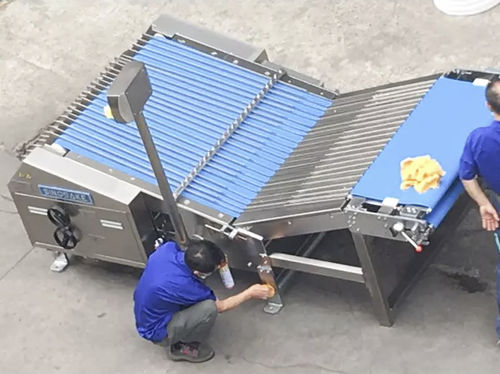 Сортирующее устройство для бисквитов - LB1000 - Guangdong Shunde Huaji Machinery Industrial Co., Ltd. - для пищевой промышленности / автоматическое / ленточное