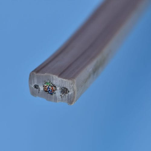 Маслоустойчивый электрический кабель - Derulcable (Shanghai) Co., Ltd - многопроволочный / круглый / плоский