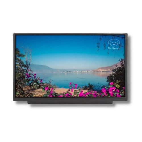 Блок индикации TFT LCD - TTX116BHT-01 - TAILOR PIXELS TECHNOLOGY CO., LTD. - IPS / 1920x1080 / 11,6"