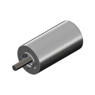 Бесщеточный двигатель - B1210N1027 - Portescap S.A. - DC / для медицинского оборудования / высокий крутящий момент