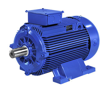 Асинхронный двигатель - A5M - B5M series - Marelli Motori S.p.A. - AC / 100 V / из чугуна