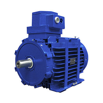 Асинхронный двигатель - D5Y - D6Y - D5V series - Marelli Motori S.p.A. - AC / 690 V / пламестойкий