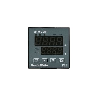 Аналоговый контроллер температуры - P91 - BRAINCHILD ELECTRONIC CO., LTD - PID / с программируемой рампой / конфигурируемый