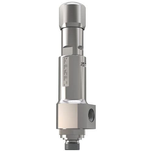 Газовый предохранительный клапан - 438 - LESER GmbH & Co. KG - NPT / DIN / для химической промышленности
