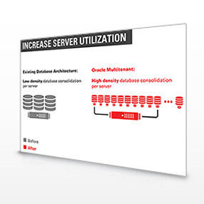 Программное обеспечение для управления - Multitenant - Oracle - развития / конфигурация / для базы данных ODBC