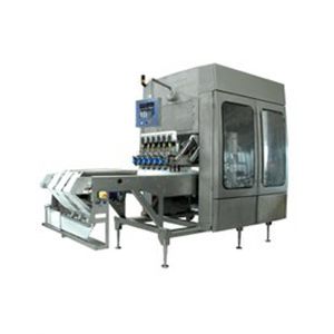 Фасовочно-упаковочная машина для сливочного мороженого - GMW - Gram Equipment