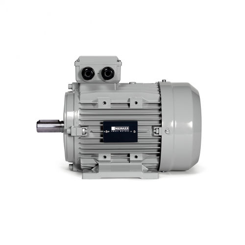 Синхронный двигатель - MPM 16 - Merkes GmbH - Small Motors - трехфазовый / IP55 / с постоянными магнитами