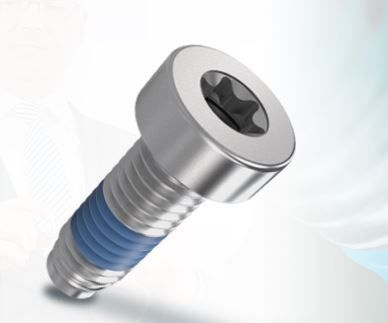 Винт для безопасности - ThreadLoc - Arnold Umformtechnik GmbH & Co. KG - для сборки / с цилиндрической головкой